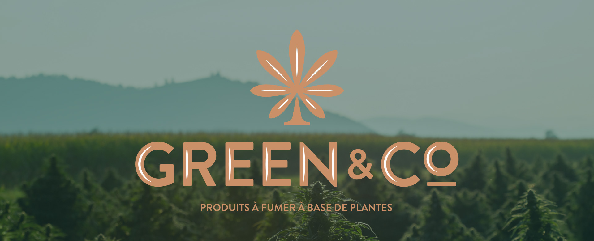 Présentation Green&Co