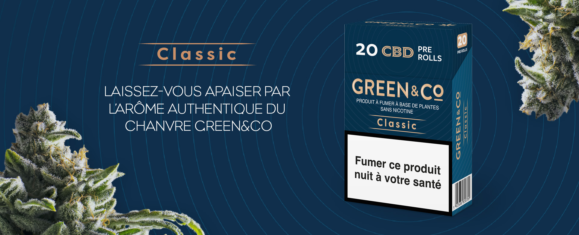 Présentation Green&Co