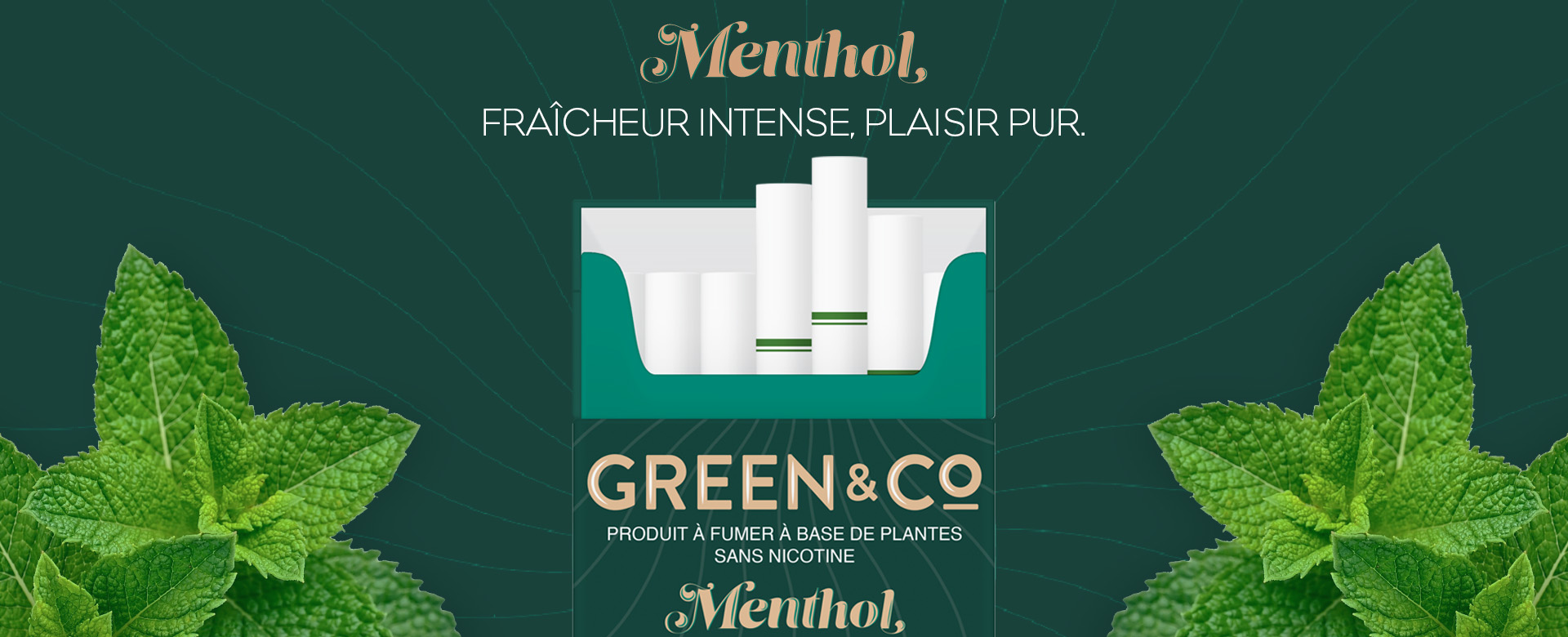Présentation Green&Co