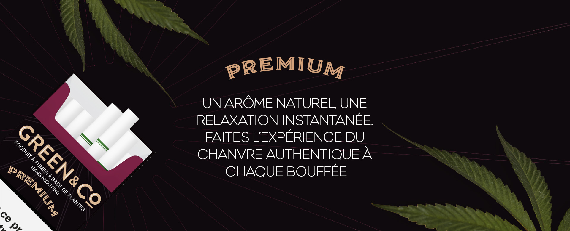 Présentation Green&Co