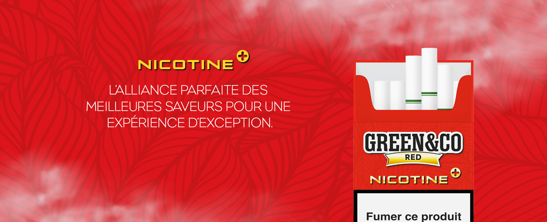 Présentation Green&Co